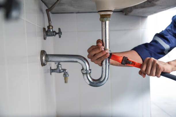 Best Drain Cleaning & Maintenance in Warren, IN